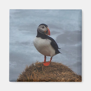 Puffin im Nebel-Kühlschrankmagnet Magnet