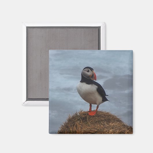 Puffin im nebeligen Kühlschrankmagnet (Vorderseite/Rückseite)