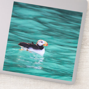 Puffin in der Auferstehungsbucht, Alaska Aufkleber