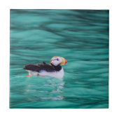 Puffin in der Auferstehungsbucht, Alaska Fliese (Vorderseite)