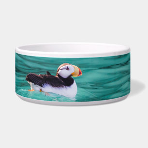 Puffin in der Auferstehungsbucht, Alaska Napf