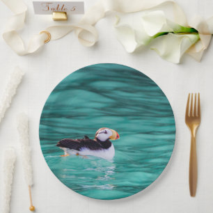 Puffin in der Auferstehungsbucht, Alaska Pappteller