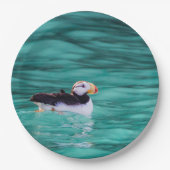 Puffin in der Auferstehungsbucht, Alaska Pappteller (Vorderseite)