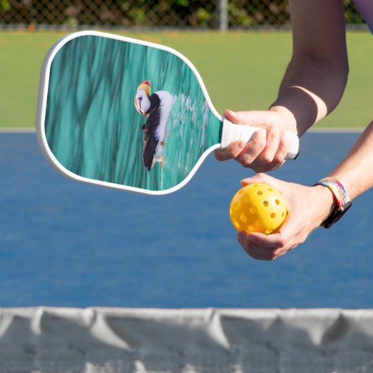 Puffin in der Auferstehungsbucht, Alaska Pickleball Schläger (InSitu)