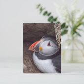 Puffin in einem Burrow Postkarte (Stehend Vorderseite)