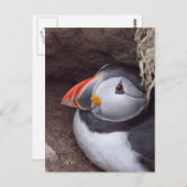 Puffin in einem Burrow Postkarte (Vorne/Hinten)