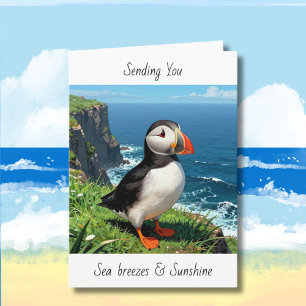 Puffin In Gedanken an Dich Alles Gute Karte