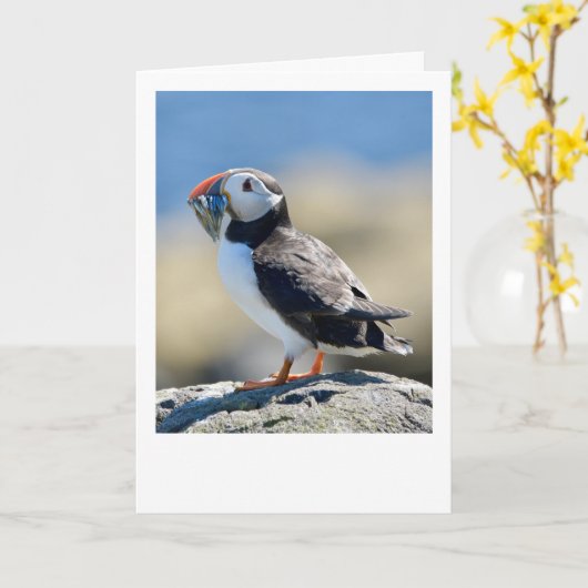 Puffin Karte (Gelbe Blume)