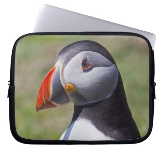 Puffin Laptop Sleeve (Vorderseite)