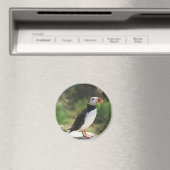 Puffin Magnet (In Situ (Geschirrspüler))