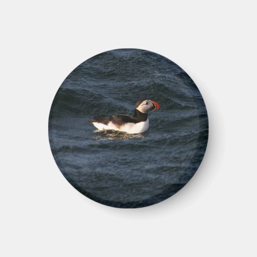 Puffin Magnet (Vorne)