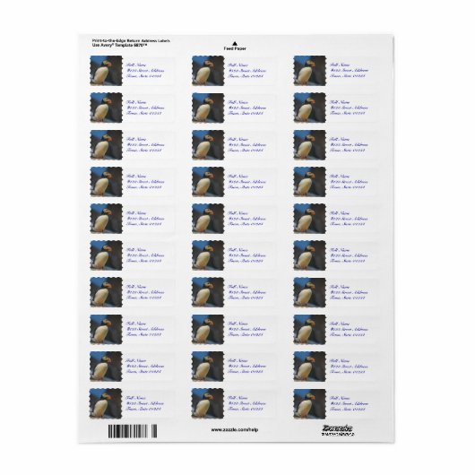 Puffin Mailing Labels (Vorne)