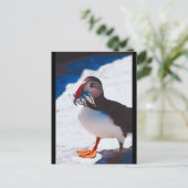 Puffin mit Fisch Postkarte (Stehend Vorderseite)