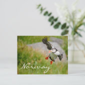 Puffin mit norwegischer Postkarte (Stehend Vorderseite)