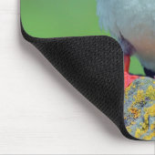 Puffin Mousepad (Ecke)