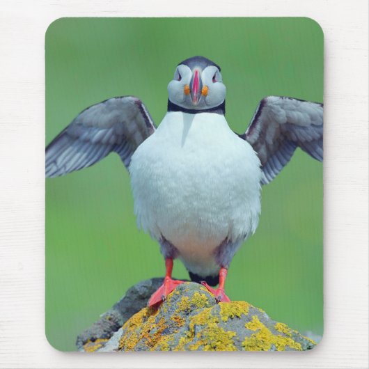 Puffin Mousepad (Vorne)