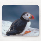 Puffin Mousepad (Vorne)