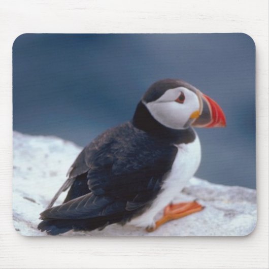 Puffin Mousepad (Vorne)