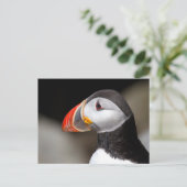 Puffin Nah-up Foto Postkarte (Stehend Vorderseite)