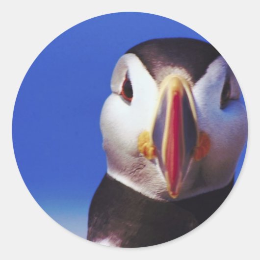 Puffin Nah-up Runder Aufkleber (Vorderseite)