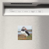 Puffin Perched Magnet (In Situ (Geschirrspüler))