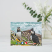 Puffin phantastisches Anwesen Agent Marketing Postkarte (Stehend Vorderseite)