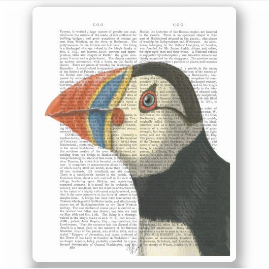 Puffin Portrait Aufkleber (Vorderseite)