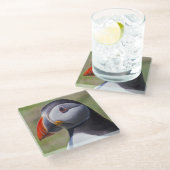 Puffin Portrait Glass Untersetzer (Schrägansicht)