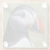 Puffin Portrait Glass Untersetzer (Rückseite)
