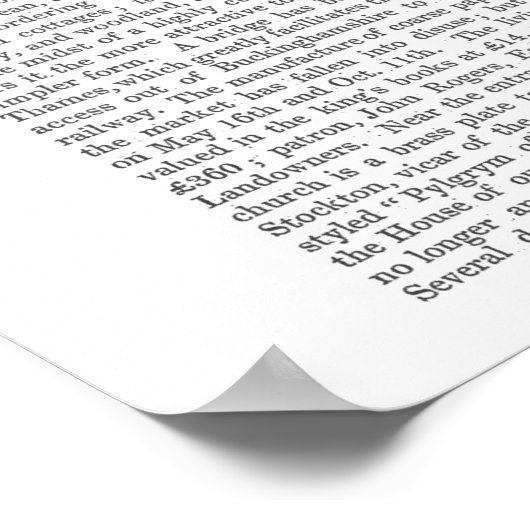 Puffin Portrait Poster (Ecke)