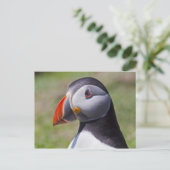 Puffin Portrait Postkarte (Stehend Vorderseite)