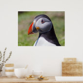 Puffin Portrait Print Poster (Küche)