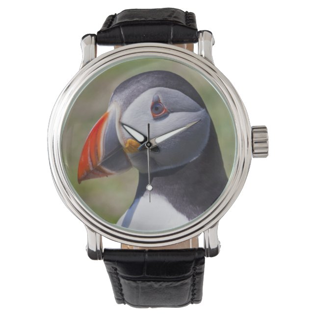 Puffin Portrait Watch Armbanduhr (Vorderseite)