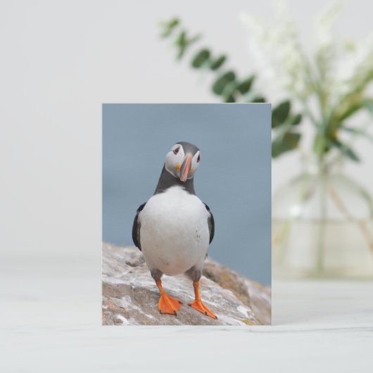 Puffin Pose Postkarte (Stehend Vorderseite)