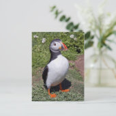 Puffin Postcard Postkarte (Stehend Vorderseite)