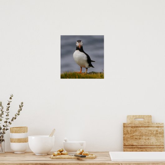 Puffin Poster (Küche)