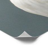 Puffin Poster (Ecke)