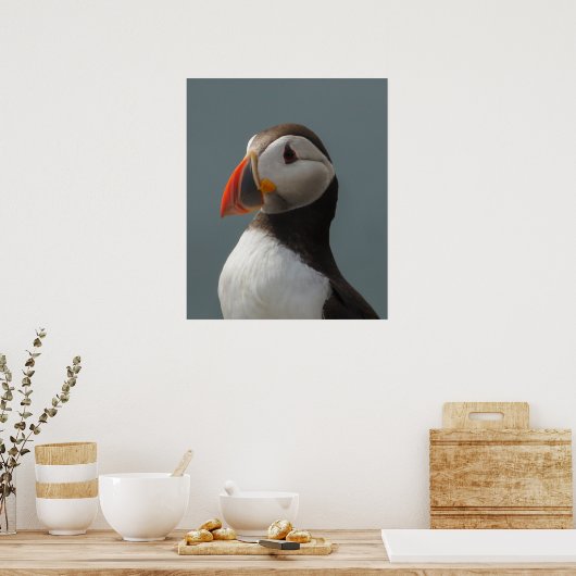 Puffin Poster (Küche)