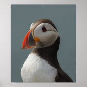 Puffin Poster (Vorne)