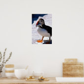 Puffin Poster (Küche)