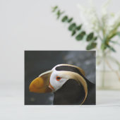 Puffin Postkarte (Stehend Vorderseite)