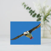 Puffin Postkarte (Stehend Vorderseite)