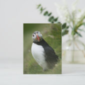 Puffin-Postkarte Postkarte (Stehend Vorderseite)
