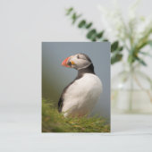 Puffin-Postkarte Postkarte (Stehend Vorderseite)