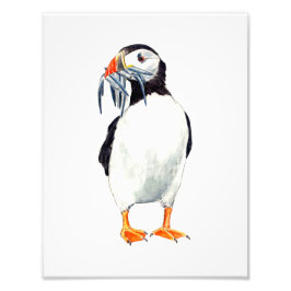 Puffin Print Fotodruck