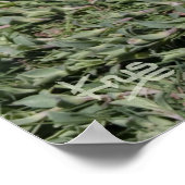 Puffin Print Poster (Ecke)