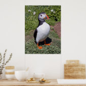 Puffin Print Poster (Küche)