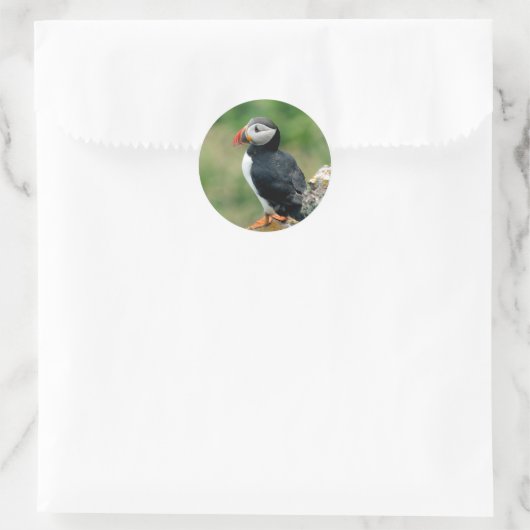 Puffin Runder Aufkleber (Tasche)