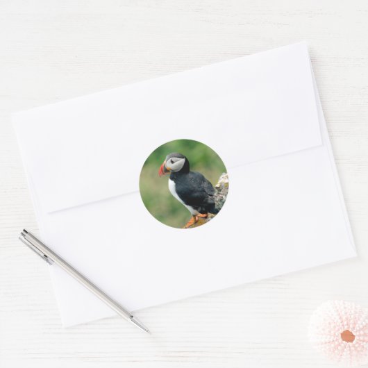 Puffin Runder Aufkleber (Umschlag)