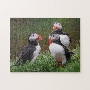Puffin Trio Puzzle